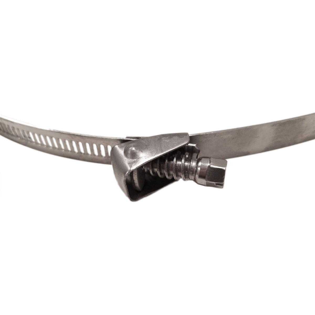 Stainless Steel Quick Release Worm Drive Clamp (Pack of 4)